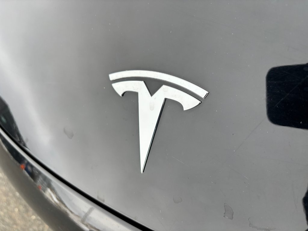 Tesla MODEL 3 Standard Range Plus | EV | Cam | Warranty to 2027 2019 à Saint John, Nouveau-Brunswick - 9 - w1024h768px