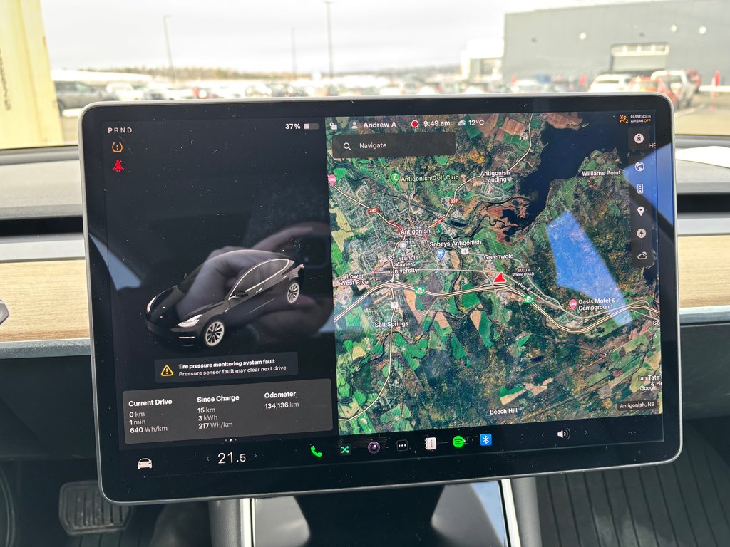 Tesla MODEL 3 Standard Range Plus | EV | Cam | Warranty to 2027 2019 à Saint John, Nouveau-Brunswick - 49 - w1024h768px