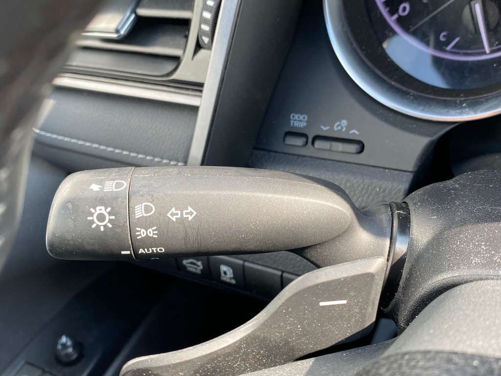 2019 Toyota Camry SE | Cam | USB | Cruise | Lane Assist in Saint John, New Brunswick - 15 - w1024h768px