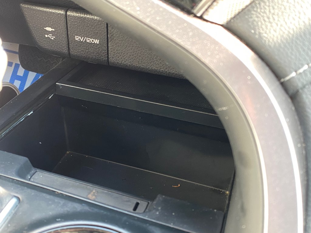 2019 Toyota Camry SE | Cam | USB | Cruise | Lane Assist in Saint John, New Brunswick - 22 - w1024h768px