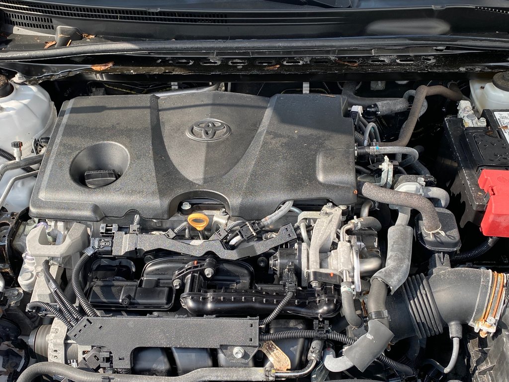 2019 Toyota Camry SE | Cam | USB | Cruise | Lane Assist in Saint John, New Brunswick - 9 - w1024h768px