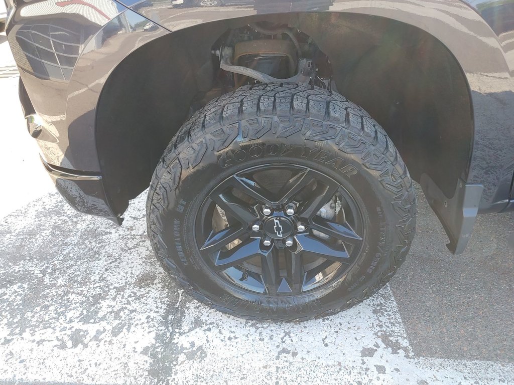 2024 Chevrolet Silverado 1500 Custom Trail Boss | Diesel | Warranty to 20 in Saint John, New Brunswick - 10 - w1024h768px