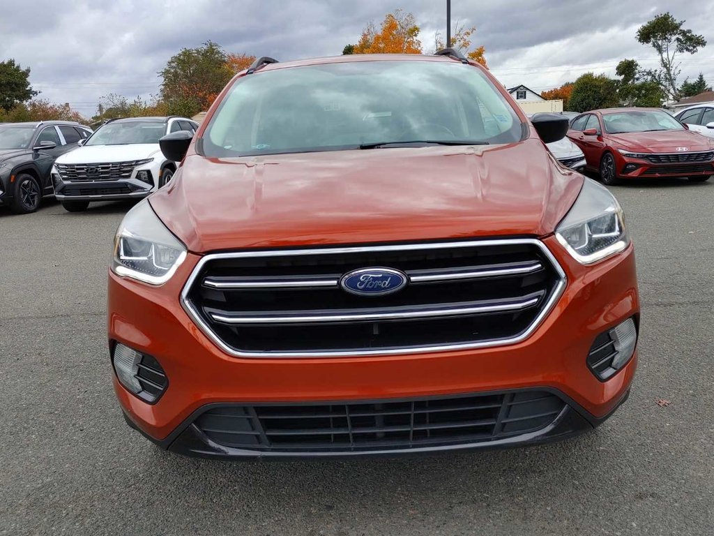 2019 Ford Escape SE | Cam | USB | Heated Seats in Saint John, New Brunswick - 25 - w1024h768px