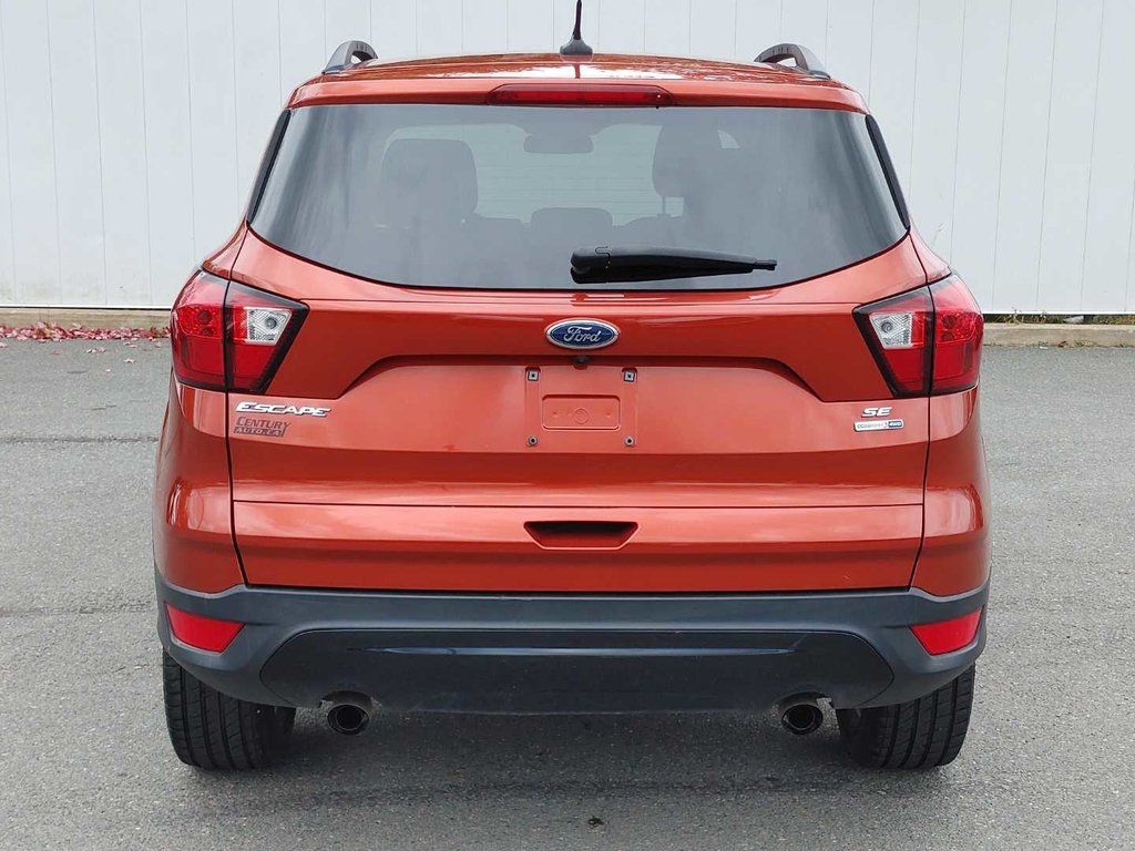 2019 Ford Escape SE | Cam | USB | Heated Seats in Saint John, New Brunswick - 4 - w1024h768px