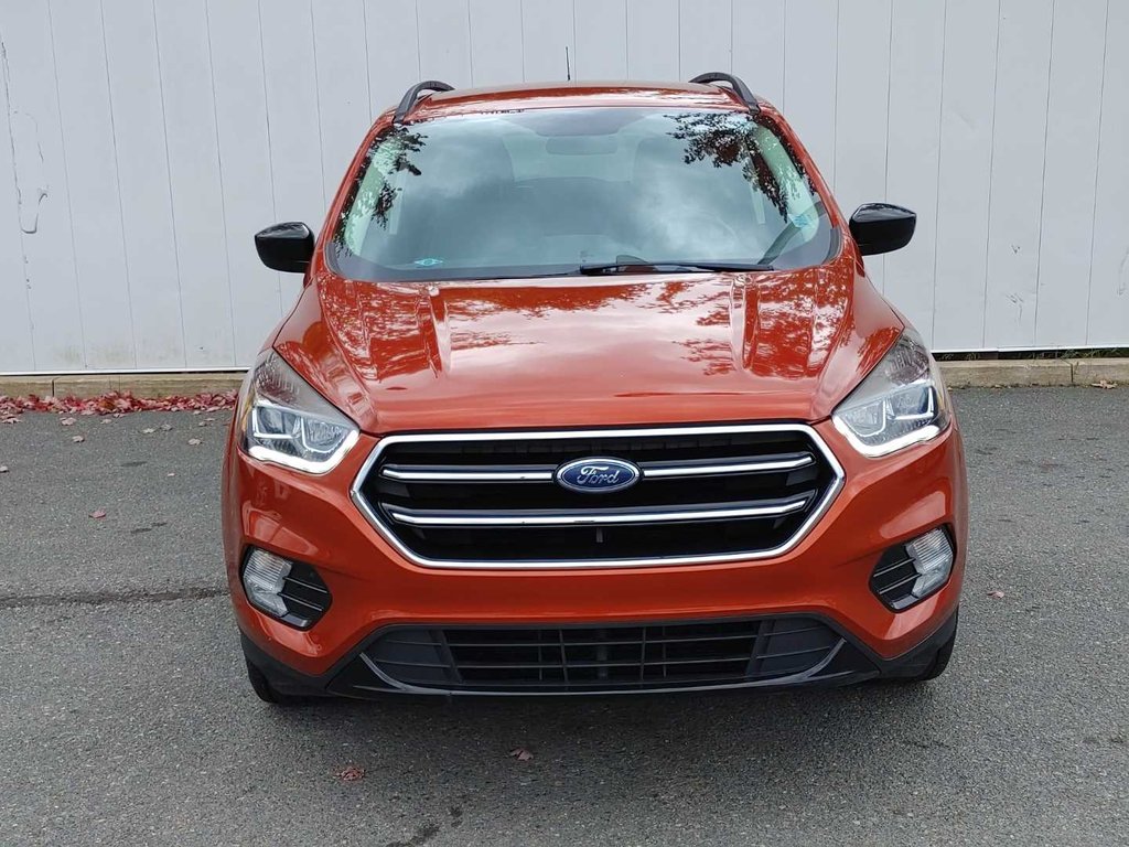 2019 Ford Escape SE | Cam | USB | Heated Seats in Saint John, New Brunswick - 8 - w1024h768px