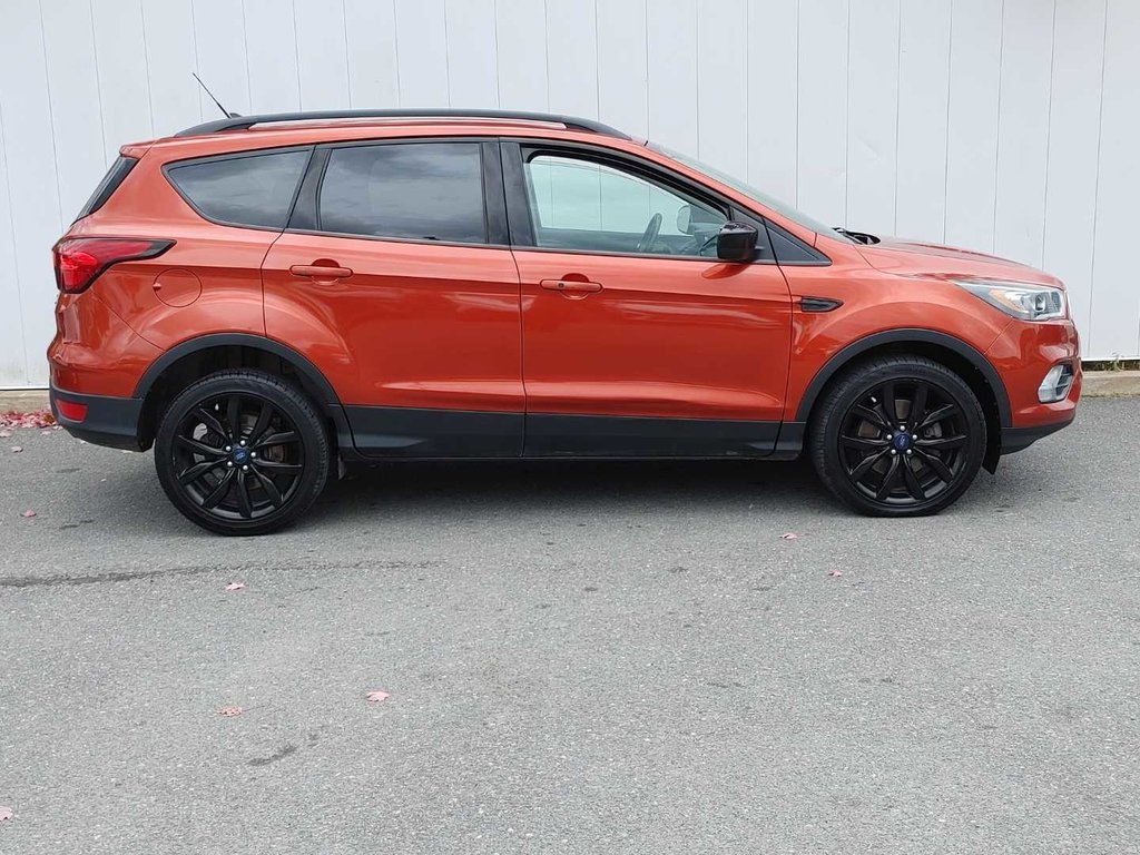 2019 Ford Escape SE | Cam | USB | Heated Seats in Saint John, New Brunswick - 2 - w1024h768px