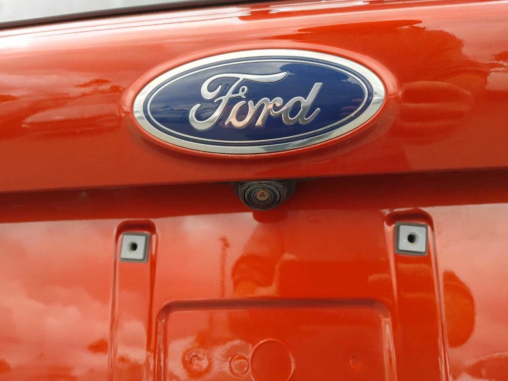 2019 Ford Escape SE | Cam | USB | Heated Seats in Saint John, New Brunswick - 17 - w1024h768px