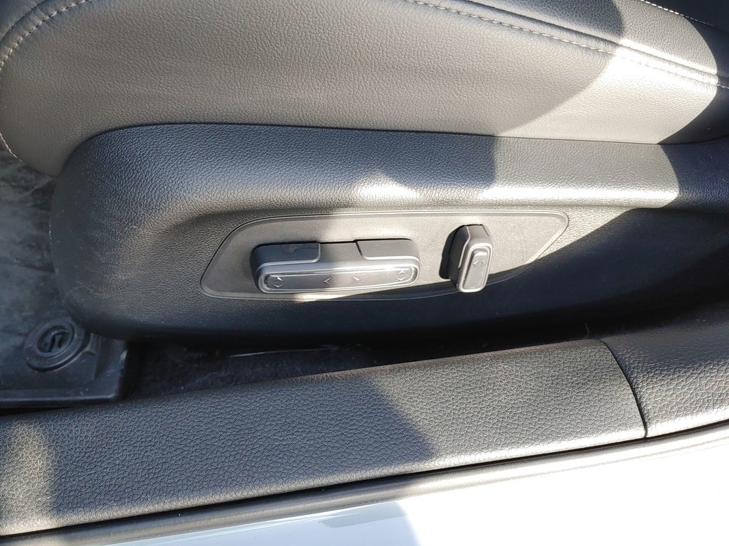 2023 Honda Civic Sedan Touring | Leather | Sunroof | Htd Seats in Saint John, New Brunswick - 14 - w1024h768px