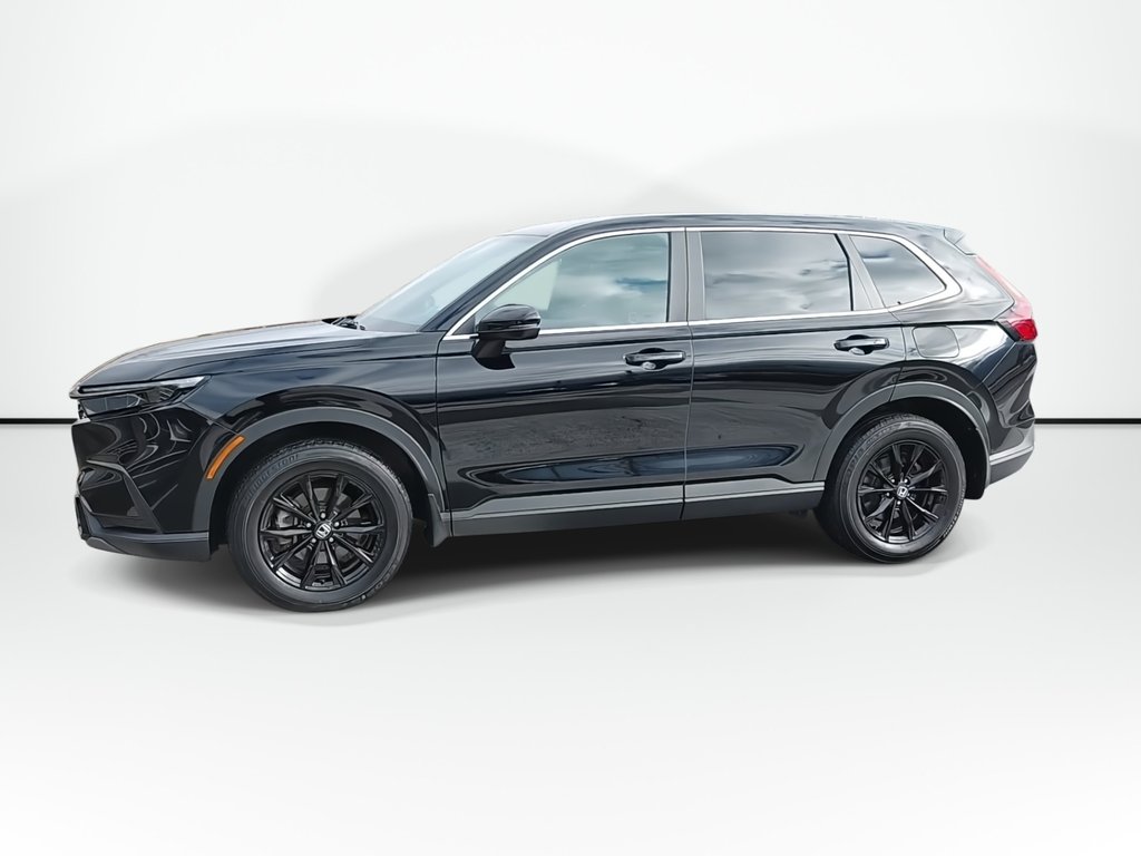 2024 Honda CR-V Hybrid EX-L | Leather | Sunroof | Cam | Warranty to 2028 in Saint John, New Brunswick - 4 - w1024h768px