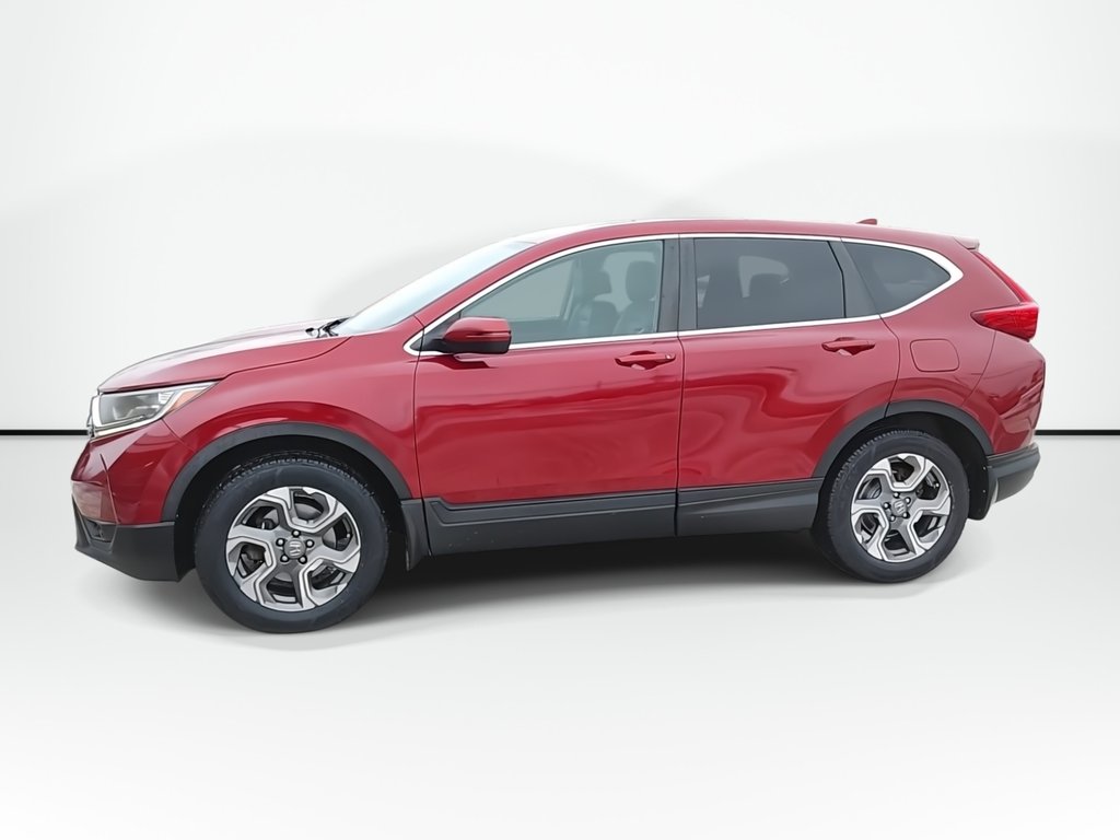 2019 Honda CR-V EX-L | Leather | Roof | Cam | USB in Saint John, New Brunswick - 4 - w1024h768px