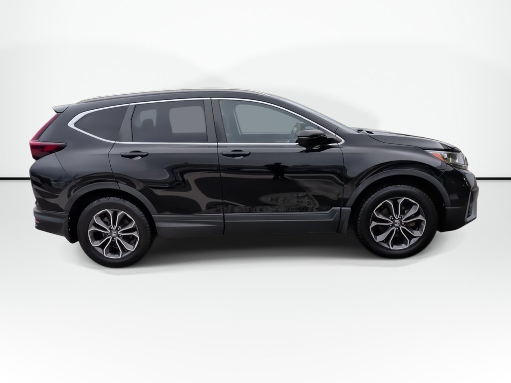 2020 Honda CR-V EX-L | Sunroof | Leather | Cam in Saint John, New Brunswick - 9 - w1024h768px
