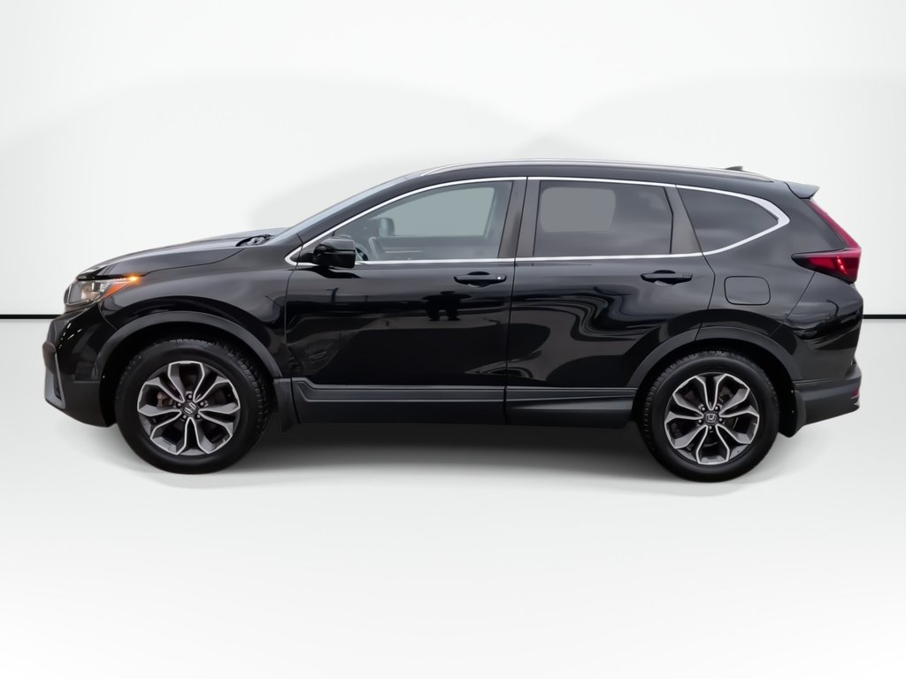 2020 Honda CR-V EX-L | Sunroof | Leather | Cam in Saint John, New Brunswick - 5 - w1024h768px