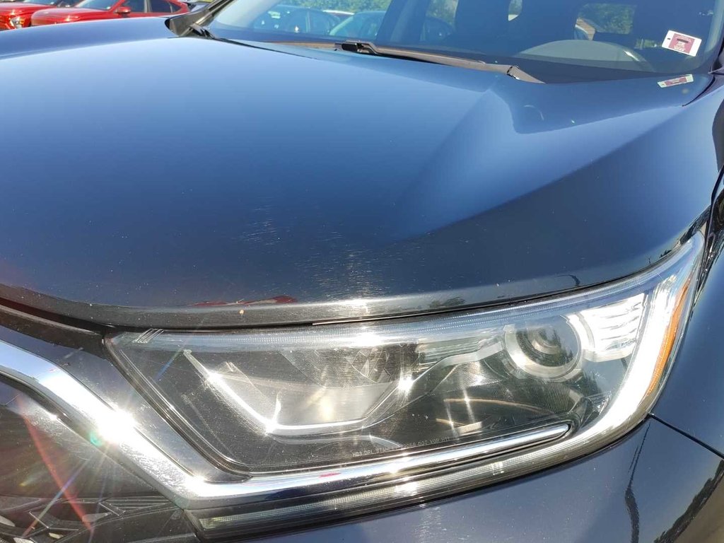 2021 Honda CR-V EX-L | Leather | Sunroof | Cam in Saint John, New Brunswick - 9 - w1024h768px