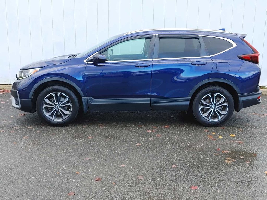2021 Honda CR-V EX-L | Leather | Roof | Cam | USB in Saint John, New Brunswick - 5 - w1024h768px