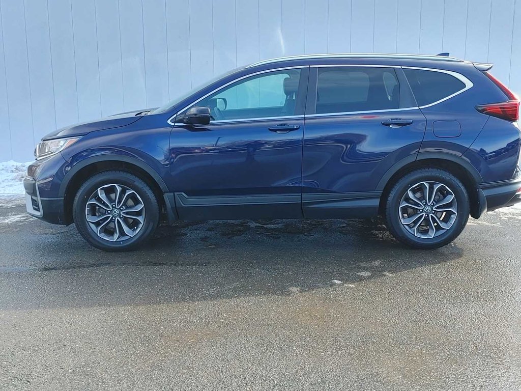 Honda CR-V EX-L | Leather | SunRoof | Cam | Warranty to 2027 2022 à Saint John, Nouveau-Brunswick - 8 - w1024h768px