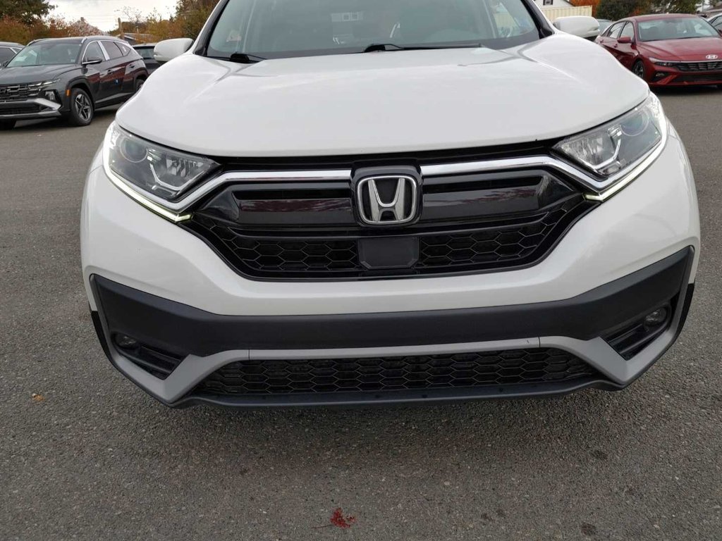 Honda CR-V EX-L | Leather | Roof | Cam | USB 2022 à Saint John, Nouveau-Brunswick - 11 - w1024h768px