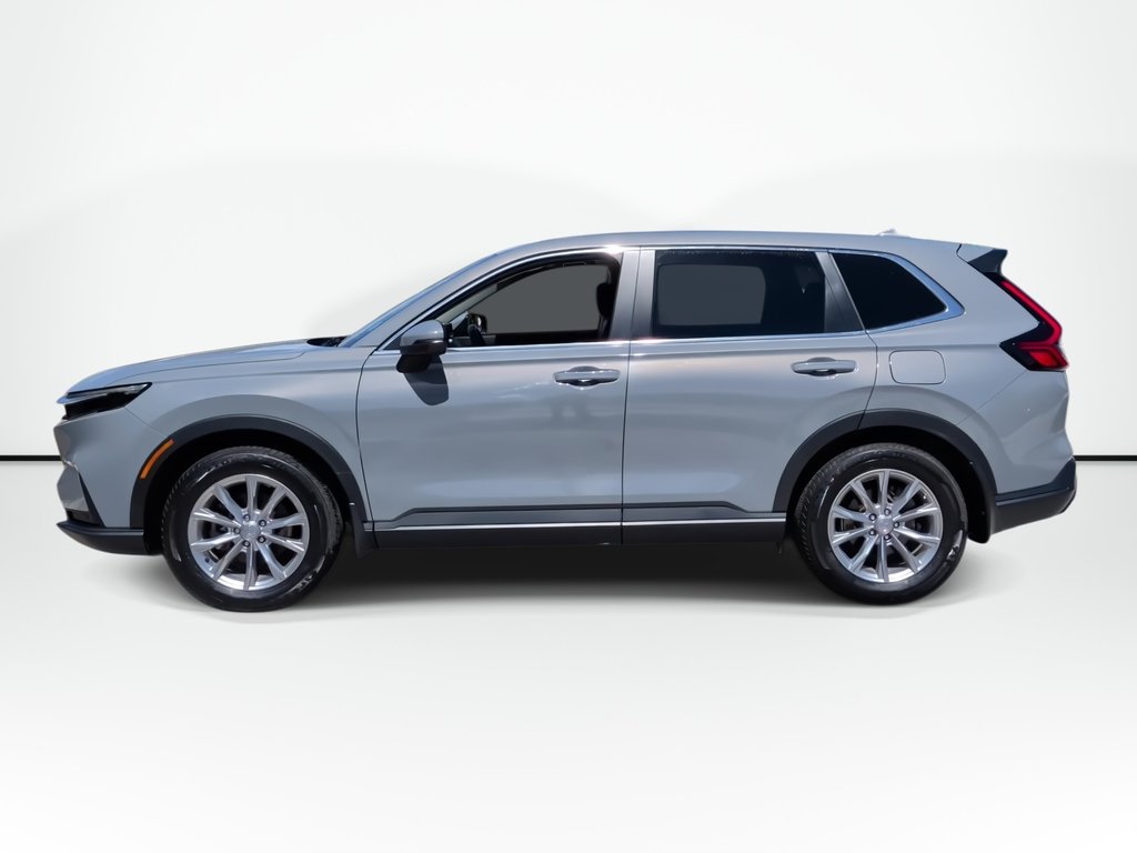 2023 Honda CR-V EX-L | Leather | Sunroof | Cam | USB in Saint John, New Brunswick - 5 - w1024h768px