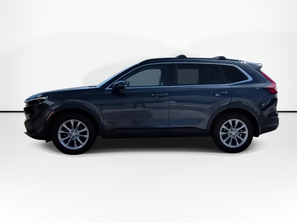 2023 Honda CR-V EX-L | Leather | Sunroof | Cam | Warranty to 2028 in Saint John, New Brunswick - 5 - w1024h768px