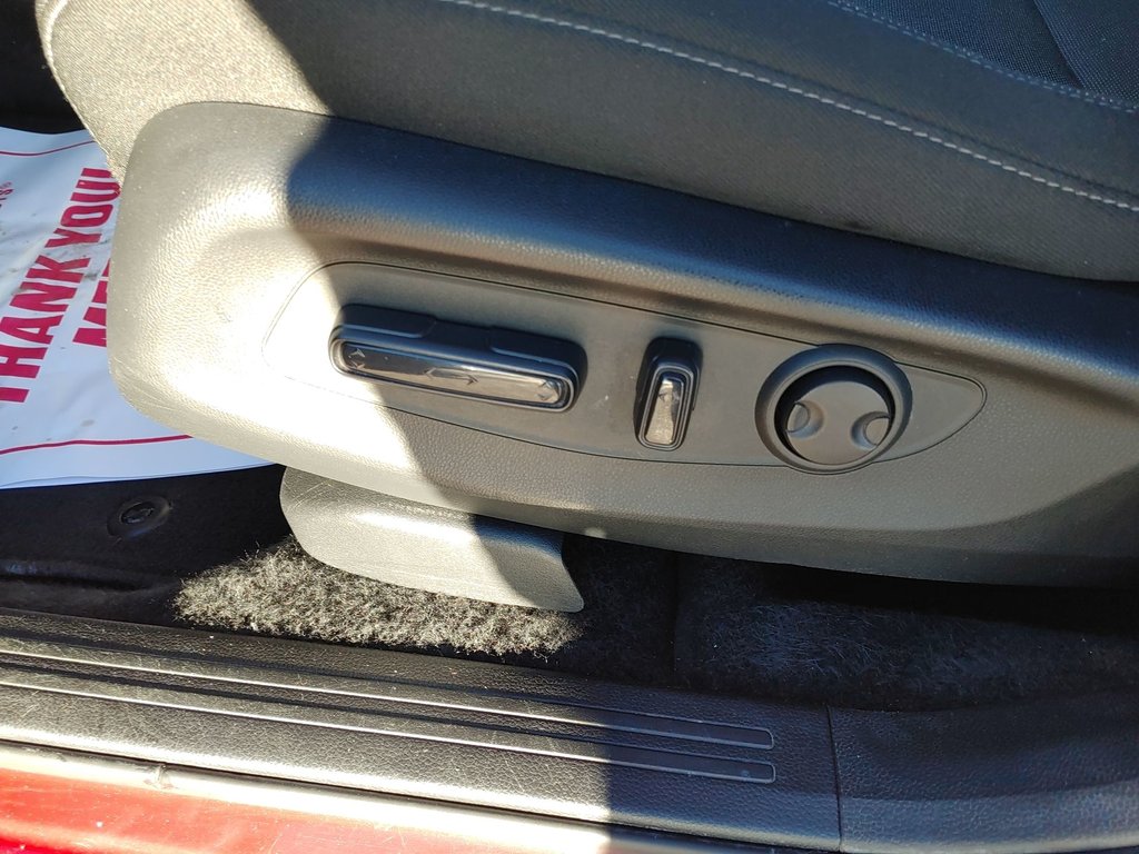 2024 Honda CR-V Sport | Sunroof | Cam | USB | Warranty to 2031 in Saint John, New Brunswick - 14 - w1024h768px