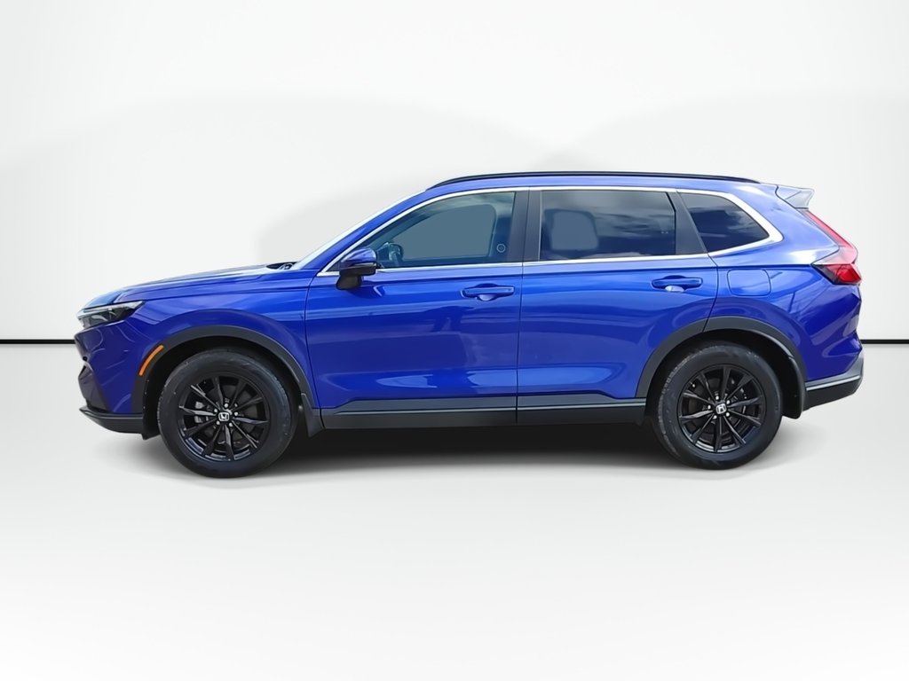 2024 Honda CR-V Sport | Sunroof | Cam | USB | Heated Seats in Saint John, New Brunswick - 5 - w1024h768px