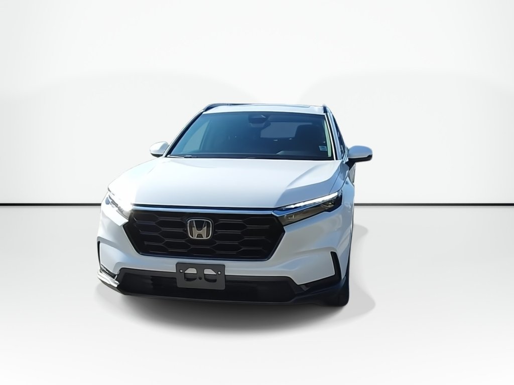 2025 Honda CR-V in Antigonish, Nova Scotia - 3 - w1024h768px