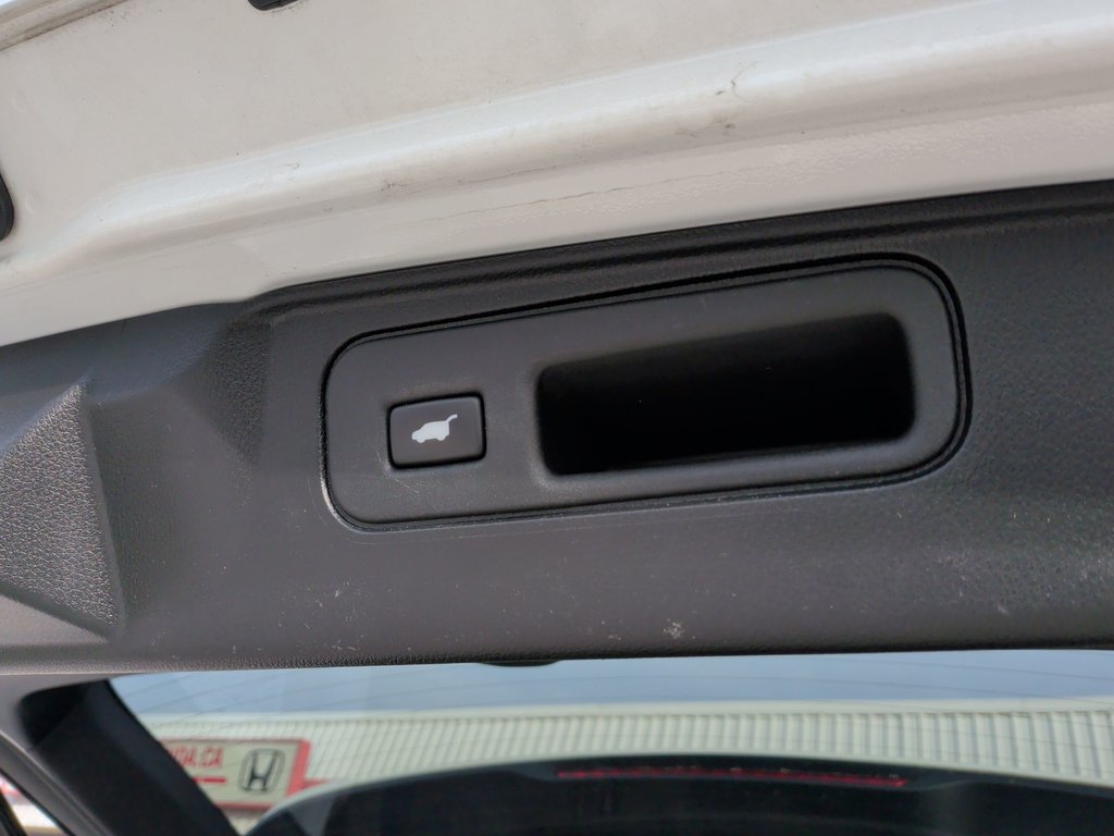 2021 Honda Passport EX-L | Leather | Sunroof | Cam | USB in Saint John, New Brunswick - 45 - w1024h768px