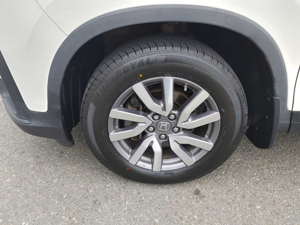 2019 Honda Pilot EX | 8 Passenger | Cam | USB | Bluetooth in Saint John, New Brunswick - 11 - w1024h768px