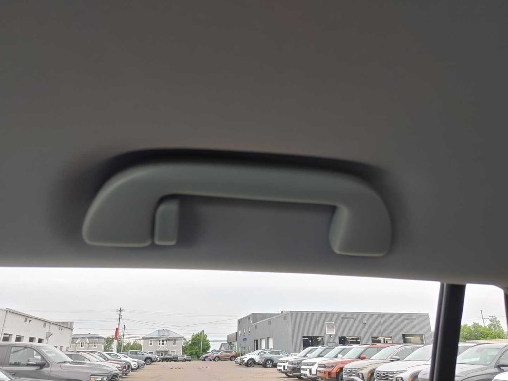 2019 Honda Pilot EX | 8 Passenger | Cam | USB | Bluetooth in Saint John, New Brunswick - 63 - w1024h768px