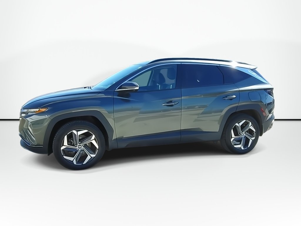 2023 Hyundai Tucson Plug-In Hybrid Ultimate | Leather | Moonroof | Warranty to 2028 in Saint John, New Brunswick - 4 - w1024h768px