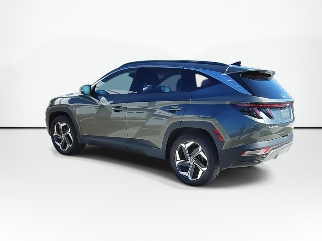 2023 Hyundai Tucson Plug-In Hybrid Ultimate | Leather | Moonroof | Warranty to 2028 in Saint John, New Brunswick - 6 - w1024h768px