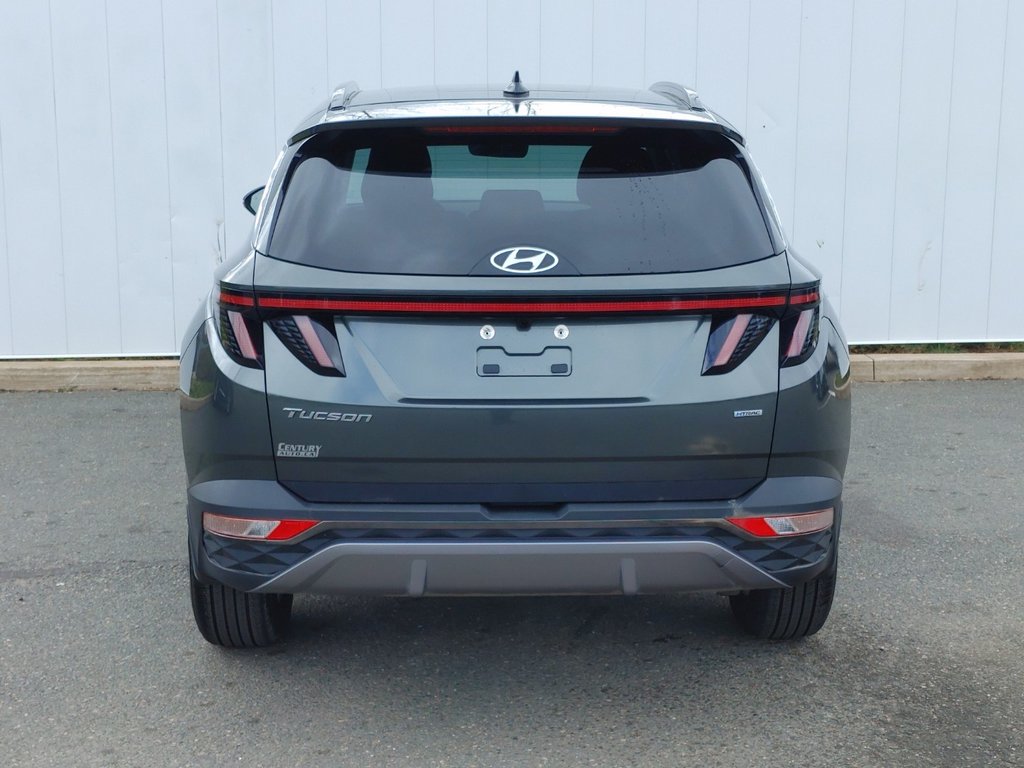 2024 Hyundai Tucson in Antigonish, Nova Scotia - 4 - w1024h768px