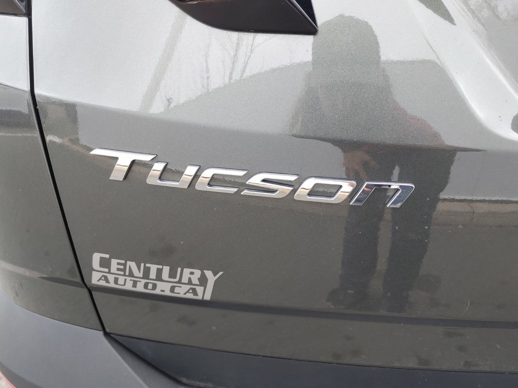 Tucson Trend | Leather | SunRoof | Cam | Warranty to 2028 2024 à Saint John, Nouveau-Brunswick - 9 - w1024h768px