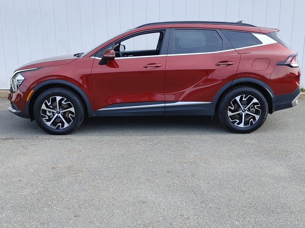 2024 Kia Sportage EX Premium | Lthr | Roof | Cam | Warranty to 2029 in Saint John, New Brunswick - 6 - w1024h768px