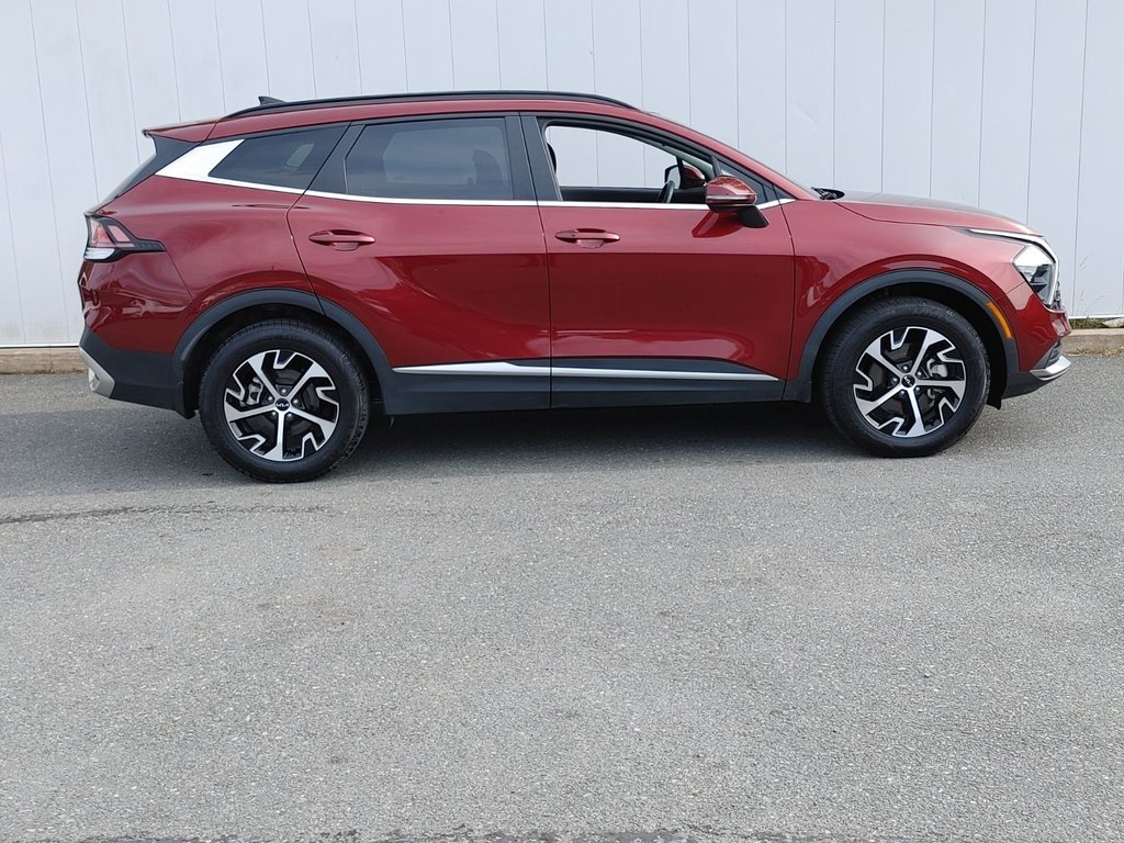 2024 Kia Sportage EX Premium | Lthr | Roof | Cam | Warranty to 2029 in Saint John, New Brunswick - 2 - w1024h768px