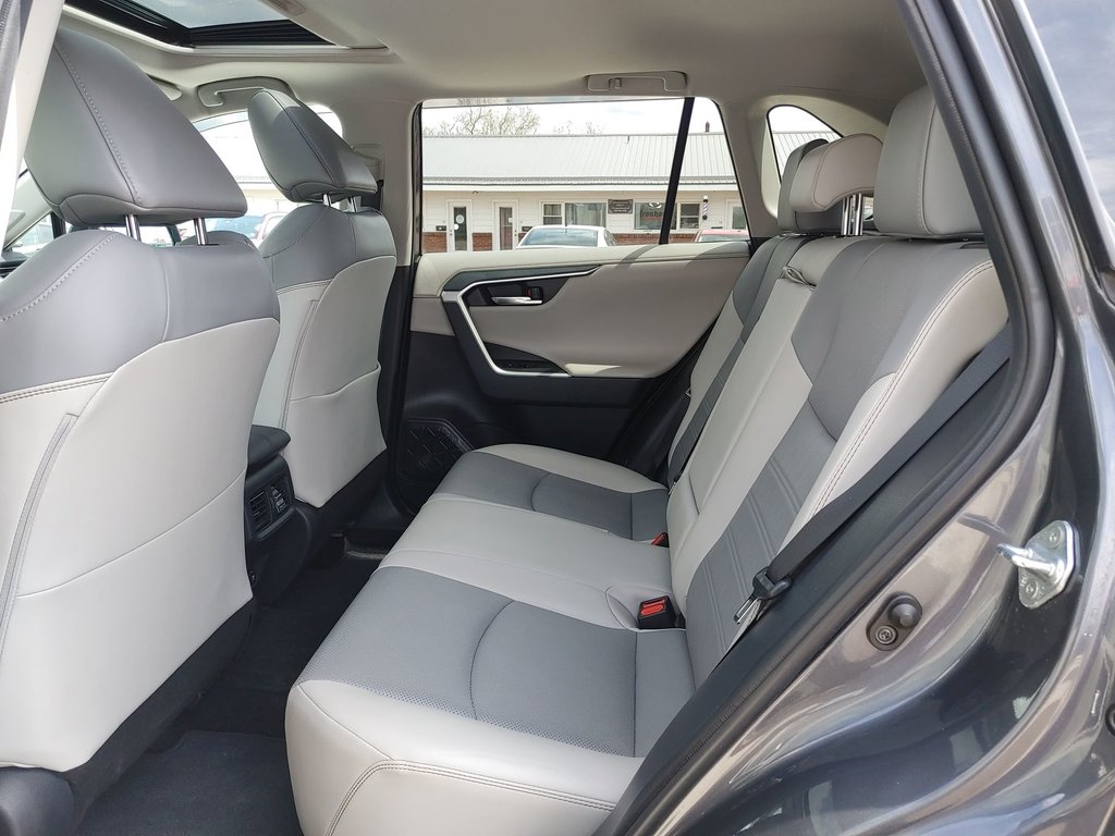 2019 Toyota RAV4 LIMITED in Saint John, New Brunswick - 32 - w1024h768px