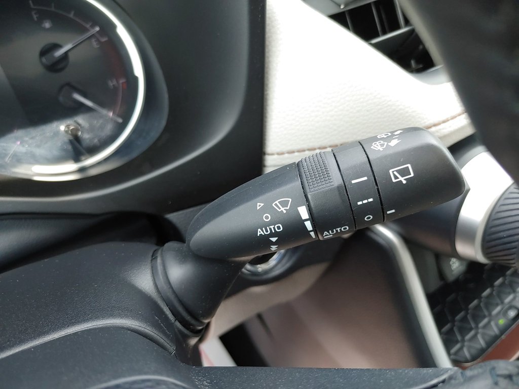 2019 Toyota RAV4 LIMITED in Saint John, New Brunswick - 20 - w1024h768px