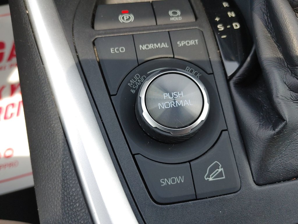 2019 Toyota RAV4 LIMITED in Saint John, New Brunswick - 22 - w1024h768px