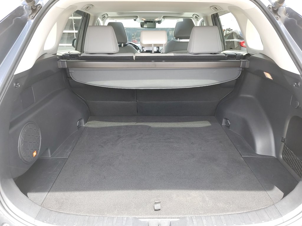 2019 Toyota RAV4 LIMITED in Saint John, New Brunswick - 34 - w1024h768px