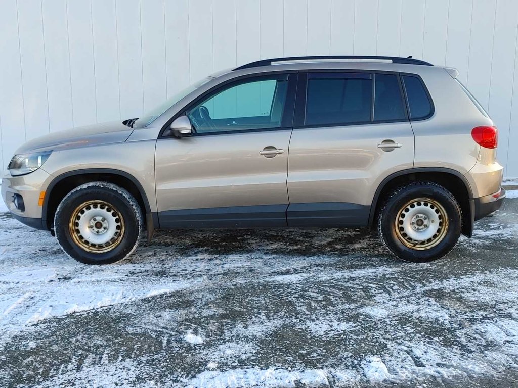 2016  Tiguan Highline | Leather | Cam | USB | Bluetooth in Saint John, New Brunswick - 6 - w1024h768px