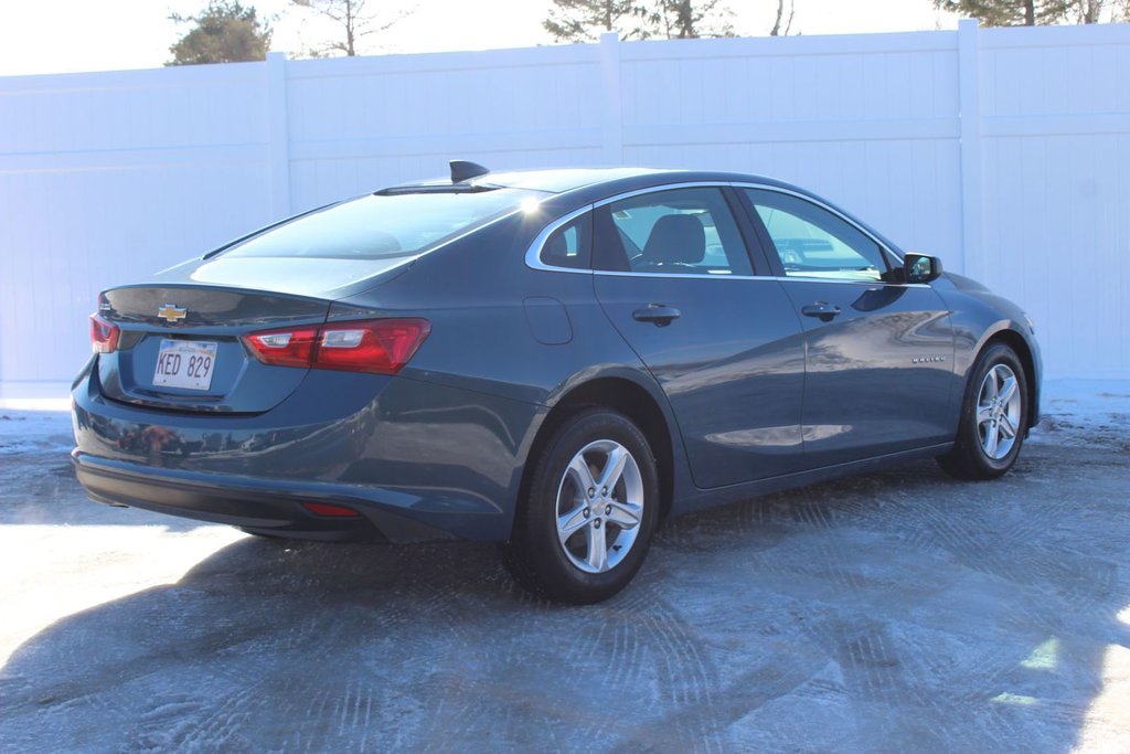 2024 Chevrolet Malibu LS | Cam | USB | Bluetooth | Warranty to 2029 in Saint John, New Brunswick - 7 - w1024h768px