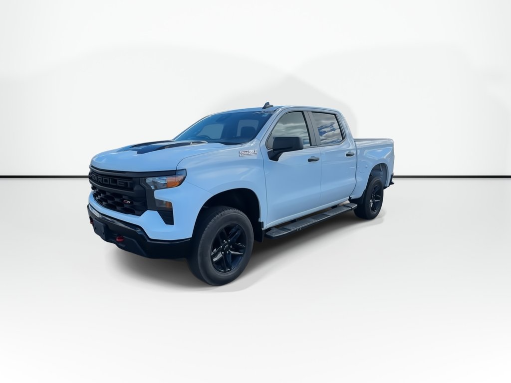 2022 Chevrolet Silverado 1500 Custom Trail Boss | Cam | Bluetooth | RmtStrt | AC in Saint John, New Brunswick - 4 - w1024h768px