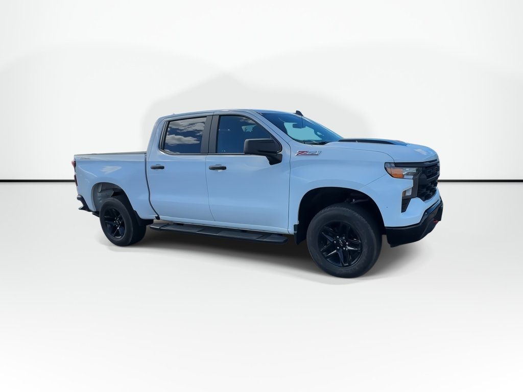 2022 Chevrolet Silverado 1500 Custom Trail Boss | Cam | Bluetooth | RmtStrt | AC in Saint John, New Brunswick - 2 - w1024h768px
