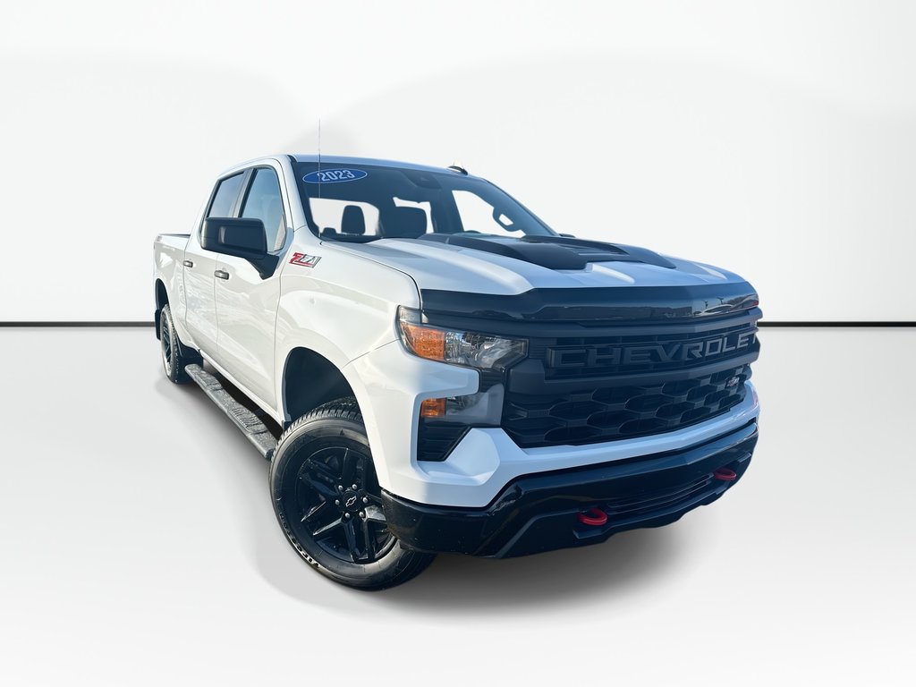 2023 Chevrolet Silverado 1500 Custom Trail Boss | Cam | USB | Warranty to 2026 in Saint John, New Brunswick - 1 - w1024h768px
