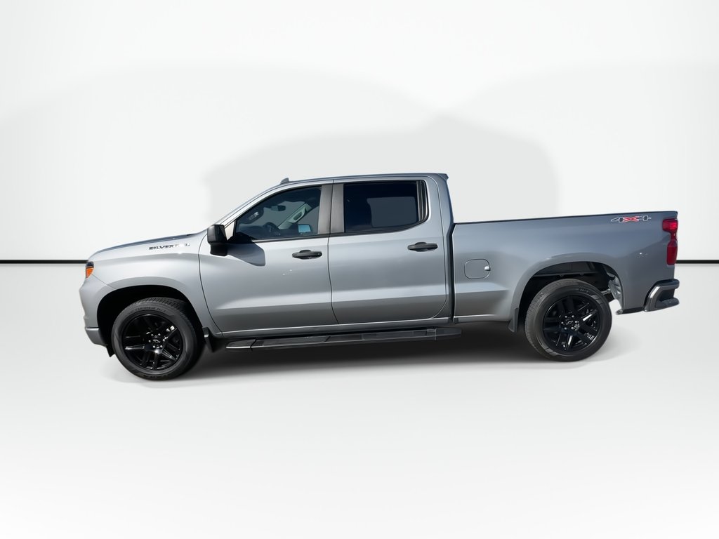 2024 Chevrolet Silverado 1500 Custom | Cam | RmtStrt | Bluetooth | Keyless | USB in Saint John, New Brunswick - 5 - w1024h768px