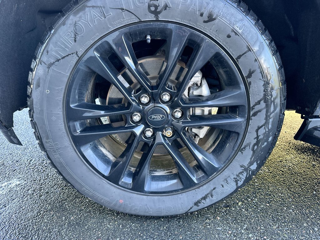 2024 Ford Expedition in Antigonish, Nova Scotia - 10 - w1024h768px