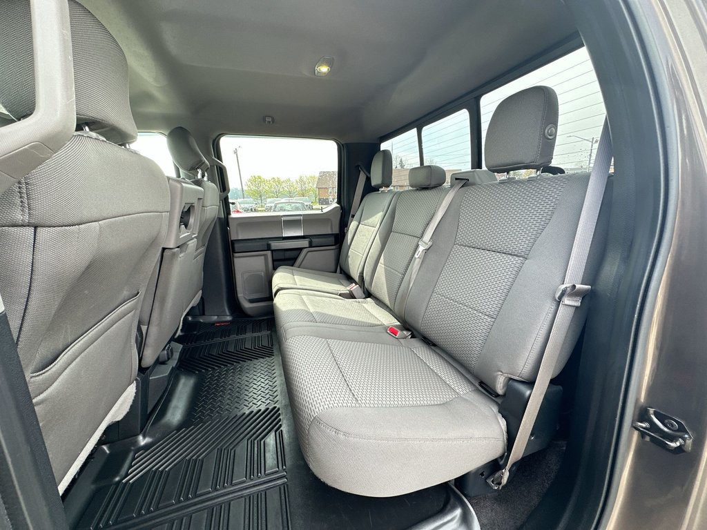 2015 Ford F-150 in Antigonish, Nova Scotia - 32 - w1024h768px