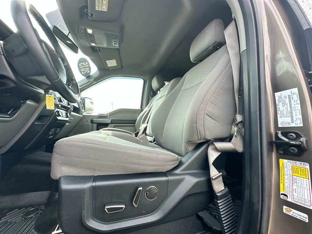 2015 Ford F-150 in Antigonish, Nova Scotia - 14 - w1024h768px