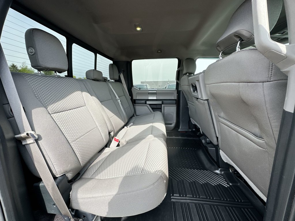 2015 Ford F-150 in Antigonish, Nova Scotia - 39 - w1024h768px