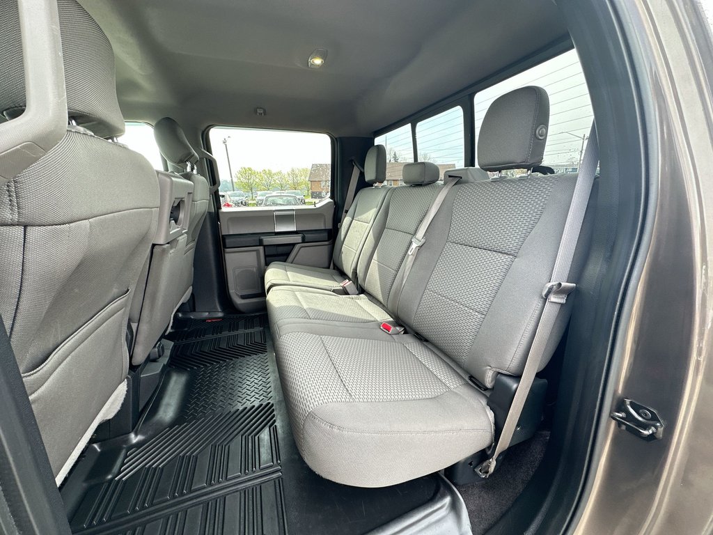2015 Ford F-150 in Antigonish, Nova Scotia - 33 - w1024h768px