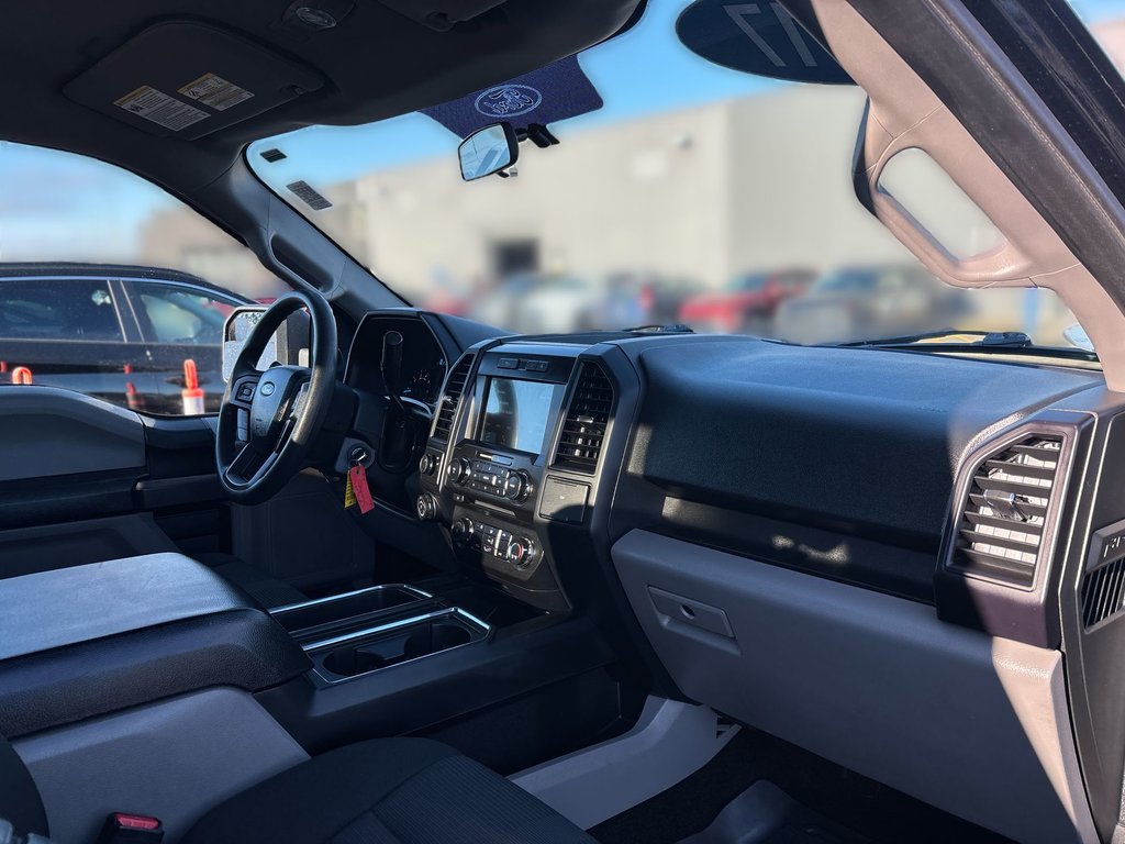 Ford F-150 SXT | Cam | PwrSeat | Cruise | AC | Aux | USB 2017 à Saint John, Nouveau-Brunswick - 39 - w1024h768px
